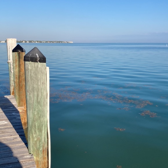 STARFISH set of 3 , GREAT DECOR , looks good ANYWHERE!!🌴🦀🦑 - Picture 6 of 10